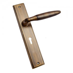 "Shallum" Brass Door Handle with Plate